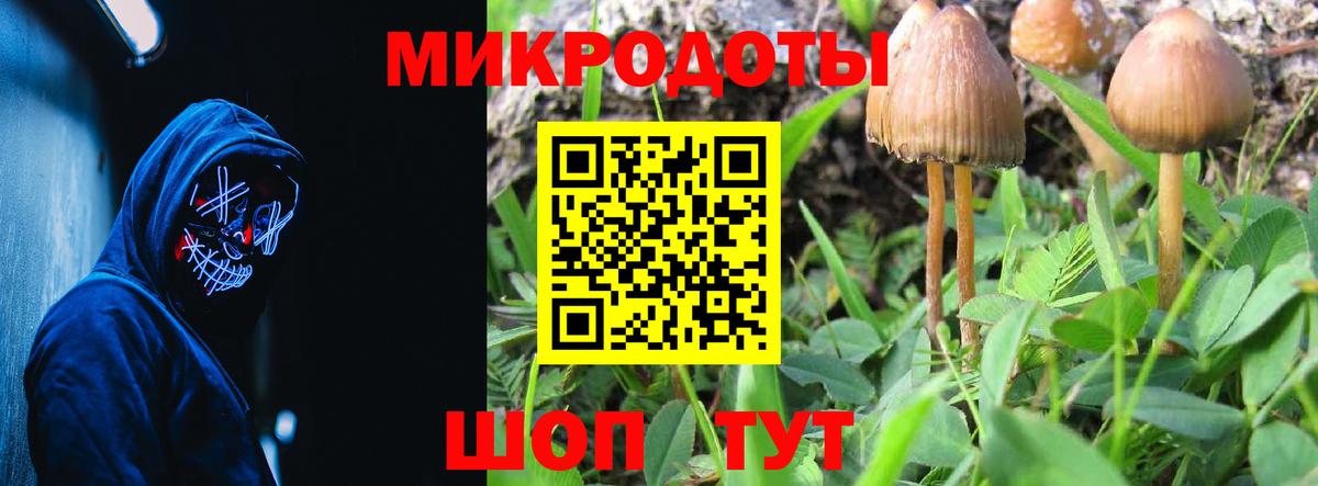 Псилоцибиновые грибы MAGIC MUSHROOMS Феодосия