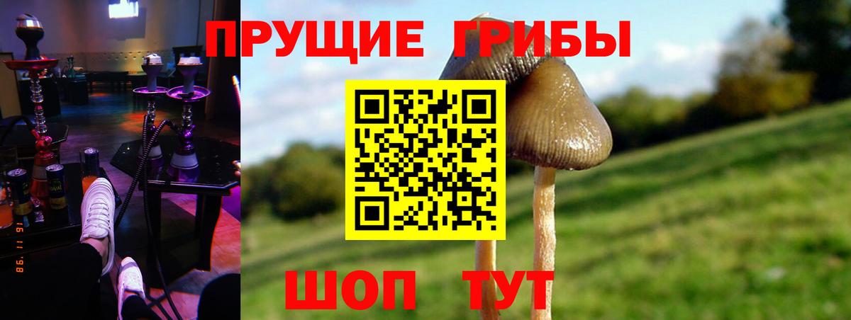 Псилоцибиновые грибы мухоморы  Галлюциногенные грибы Psilocybe  Феодосия  Вход с VPN 
